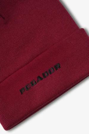 Logo Beanie Future Red Black