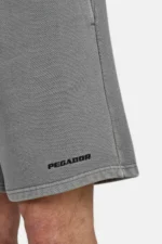 Logo Heavy Sweat Shorts Vintage Grey
