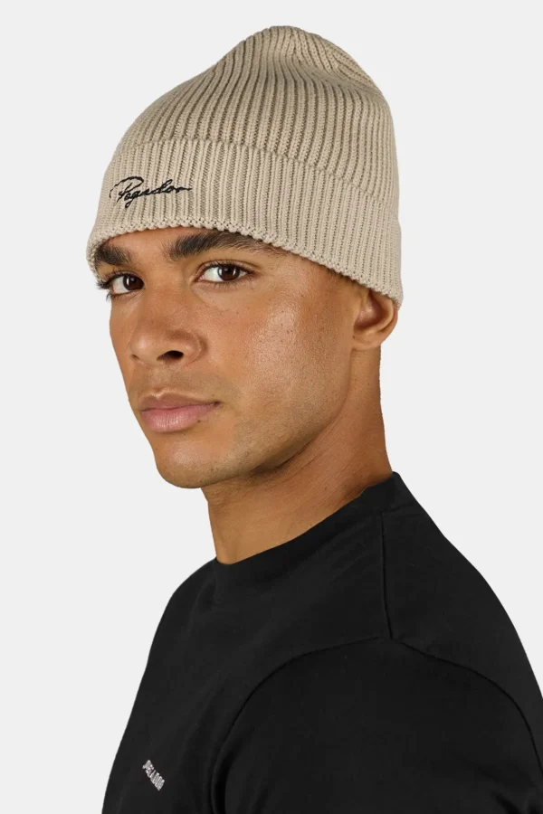 Signar Heavy Knit Beanie Stone